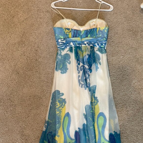 Cache Paisley Maxi Dress. Dress size 4 - Picture 5 of 5